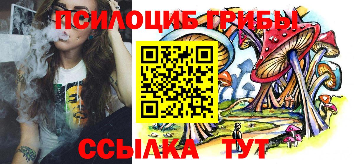 Амурск  Галлюциногенные грибы MAGIC MUSHROOMS  Псилоцибиновые грибы Psilocybine cubensis  Вход с VPN 