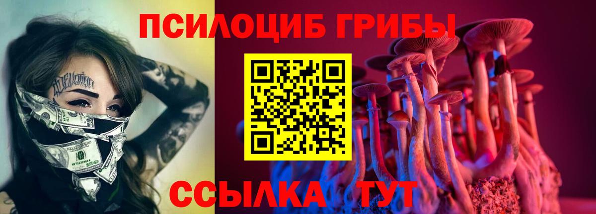Галлюциногенные грибы мухоморы Амурск